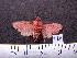  ( - MMZ0089)  @12 [ ] Copyright (2010) Unspecified Universidade Federal do Parana