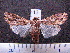  ( - MMZ0013)  @13 [ ] Copyright (2010) Unspecified Universidade Federal do Parana