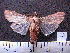  ( - MMZ0013)  @12 [ ] Copyright (2010) Unspecified Universidade Federal do Parana