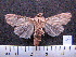 ( - MMZ0014)  @12 [ ] Copyright (2010) Unspecified Universidade Federal do Parana