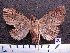  (Zale spAS1 - MMZ0020)  @13 [ ] Copyright (2010) Unspecified Universidade Federal do Parana