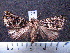  ( - MMZ0023)  @13 [ ] Copyright (2010) Unspecified Universidade Federal do Parana