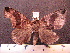  ( - MMZ0033)  @12 [ ] Copyright (2010) Unspecified Universidade Federal do Parana