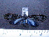  ( - MMZ0344)  @12 [ ] Copyright (2010) Mauricio M. Zenker Universidade Federal do Parana