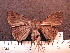  ( - MMZ0039)  @13 [ ] Copyright (2010) Unspecified Universidade Federal do Parana