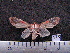  ( - MMZ0384)  @12 [ ] CreativeCommons - Attribution Non-Commercial (2011) Mauricio M. Zenker UFPR