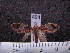  ( - MMZ0397)  @12 [ ] CreativeCommons - Attribution Non-Commercial (2011) Mauricio M. Zenker UFPR