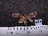  ( - MMZ0397)  @12 [ ] CreativeCommons - Attribution Non-Commercial (2011) Mauricio M. Zenker UFPR