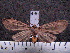  ( - MMZ0399)  @13 [ ] CreativeCommons - Attribution Non-Commercial (2011) Mauricio M. Zenker UFPR