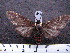  ( - MMZ0400)  @13 [ ] CreativeCommons - Attribution Non-Commercial (2011) Mauricio M. Zenker UFPR