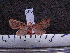 ( - MMZ0401)  @12 [ ] CreativeCommons - Attribution Non-Commercial (2011) Mauricio M. Zenker UFPR