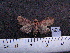  ( - MMZ0401)  @12 [ ] CreativeCommons - Attribution Non-Commercial (2011) Mauricio M. Zenker UFPR
