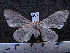  ( - MMZ0402)  @12 [ ] CreativeCommons - Attribution Non-Commercial (2011) Mauricio M. Zenker UFPR