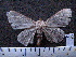  ( - MMZ0402)  @13 [ ] CreativeCommons - Attribution Non-Commercial (2011) Mauricio M. Zenker UFPR
