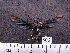  ( - MMZ0406)  @12 [ ] CreativeCommons - Attribution Non-Commercial (2011) Mauricio M. Zenker UFPR