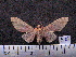  ( - MMZ0407)  @12 [ ] CreativeCommons - Attribution Non-Commercial (2011) Mauricio M. Zenker UFPR