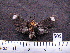  ( - MMZ0408)  @12 [ ] CreativeCommons - Attribution Non-Commercial (2011) Mauricio M. Zenker UFPR