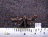  ( - MMZ0411)  @12 [ ] CreativeCommons - Attribution Non-Commercial (2011) Mauricio M. Zenker UFPR