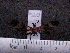  ( - MMZ0414)  @12 [ ] CreativeCommons - Attribution Non-Commercial (2011) Mauricio M. Zenker UFPR