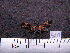  ( - MMZ0414)  @12 [ ] CreativeCommons - Attribution Non-Commercial (2011) Mauricio M. Zenker UFPR