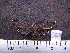  ( - MMZ0418)  @12 [ ] CreativeCommons - Attribution Non-Commercial (2011) Mauricio M. Zenker UFPR