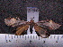  ( - MMZ0426)  @12 [ ] CreativeCommons - Attribution Non-Commercial (2011) Mauricio M. Zenker UFPR