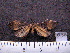  ( - MMZ0426)  @12 [ ] CreativeCommons - Attribution Non-Commercial (2011) Mauricio M. Zenker UFPR