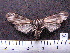  ( - MMZ0050)  @12 [ ] Copyright (2010) Unspecified Universidade Federal do Parana