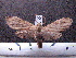  ( - MMZ0061)  @12 [ ] Copyright (2010) Unspecified Universidade Federal do Parana