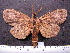  ( - MMZ0075)  @13 [ ] Copyright (2010) Unspecified Universidade Federal do Parana