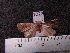  ( - MMZ0698)  @12 [ ] CreativeCommons - Attribution Non-Commercial (2011) Mauricio M. Zenker Universidade Federal do Parana
