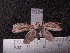 ( - MMZ0995)  @12 [ ] CreativeCommons - Attribution Non-Commercial (2011) Mauricio M. Zenker UFPR