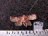  ( - MMZ0997)  @12 [ ] CreativeCommons - Attribution Non-Commercial (2011) Mauricio M. Zenker UFPR