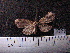  ( - MMZ0699)  @12 [ ] CreativeCommons - Attribution Non-Commercial (2011) Mauricio M. Zenker Universidade Federal do Parana