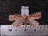  ( - MMZ1003)  @13 [ ] CreativeCommons - Attribution Non-Commercial (2011) Mauricio M. Zenker UFPR