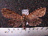  ( - MMZ1239)  @12 [ ] CreativeCommons - Attribution Non-Commercial (2012) Mauricio M. Zenker UFPR