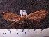  ( - MMZ1240)  @12 [ ] CreativeCommons - Attribution Non-Commercial (2012) Mauricio M. Zenker UFPR
