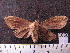  ( - MMZ1240)  @12 [ ] CreativeCommons - Attribution Non-Commercial (2012) Mauricio M. Zenker UFPR