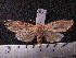  ( - MMZ0706)  @13 [ ] CreativeCommons - Attribution Non-Commercial (2011) Mauricio M. Zenker Universidade Federal do Parana