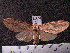  ( - MMZ0892)  @13 [ ] CreativeCommons - Attribution Non-Commercial (2011) Mauricio M. Zenker UFPR