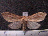 ( - MMZ1241)  @12 [ ] CreativeCommons - Attribution Non-Commercial (2012) Mauricio M. Zenker UFPR