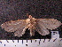  ( - MMZ1242)  @12 [ ] CreativeCommons - Attribution Non-Commercial (2012) Mauricio M. Zenker UFPR