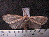  ( - MMZ1243)  @13 [ ] CreativeCommons - Attribution Non-Commercial (2012) Mauricio M. Zenker UFPR