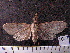  ( - MMZ1243)  @12 [ ] CreativeCommons - Attribution Non-Commercial (2012) Mauricio M. Zenker UFPR