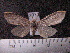  ( - MMZ1149)  @12 [ ] CreativeCommons - Attribution Non-Commercial (2012) Mauricio M. Zenker UFPR