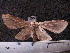  ( - MMZ1103)  @12 [ ] CreativeCommons - Attribution Non-Commercial (2012) Mauricio M. Zenker UFPR