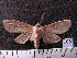  ( - MMZ1244)  @12 [ ] CreativeCommons - Attribution Non-Commercial (2012) Mauricio M. Zenker UFPR