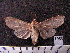  ( - MMZ1246)  @12 [ ] CreativeCommons - Attribution Non-Commercial (2012) Mauricio M. Zenker UFPR