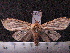  ( - MMZ1247)  @12 [ ] CreativeCommons - Attribution Non-Commercial (2012) Mauricio M. Zenker UFPR