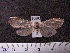  ( - MMZ1151)  @12 [ ] CreativeCommons - Attribution Non-Commercial (2012) Mauricio M. Zenker UFPR